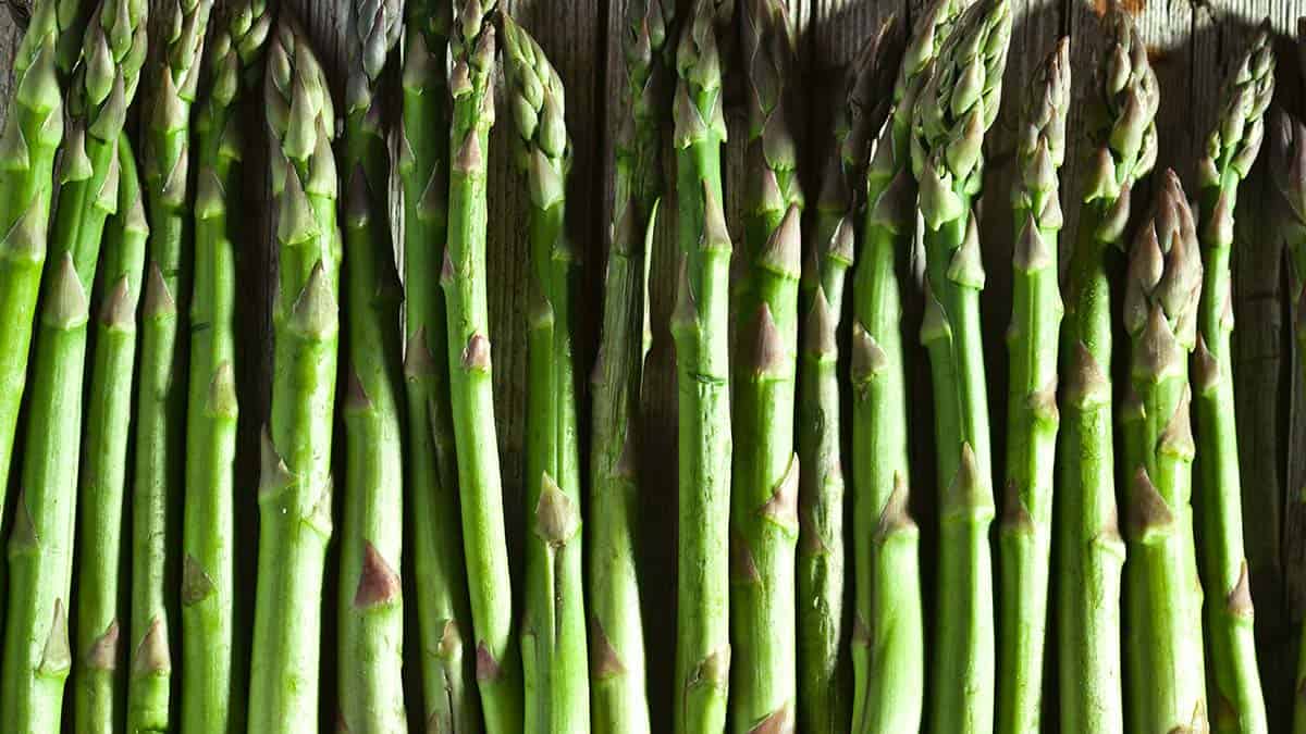 Fresh asparagus
