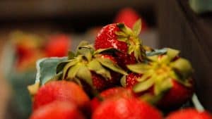 strawberries for dinner